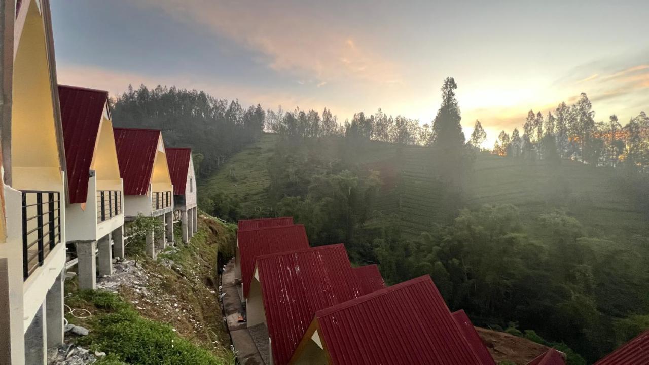 Hotel Nature Bromo And Resort Pasuruan Buitenkant foto
